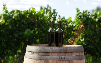 De impact van klimaatverandering op wijnbouw